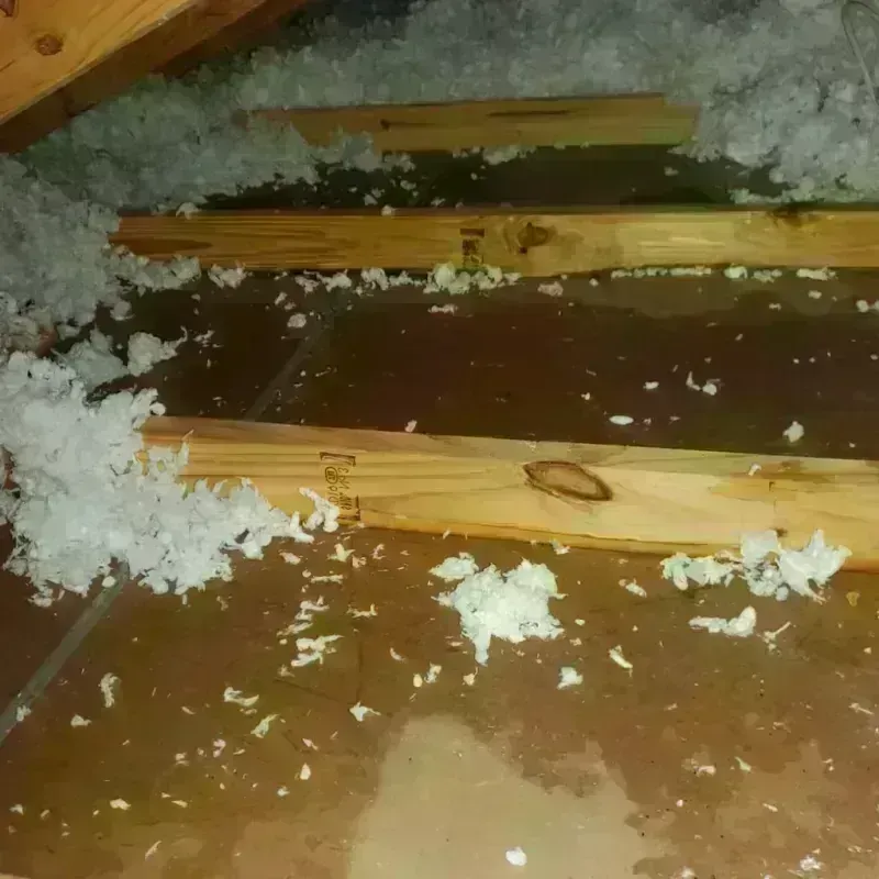 Attic Water Damage in Park Layne, OH