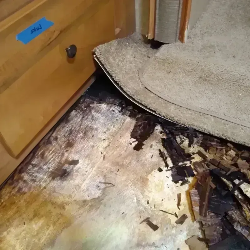 Wood Floor Water Damage in Park Layne, OH